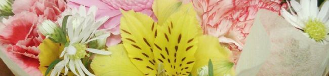 のあ0701's header image