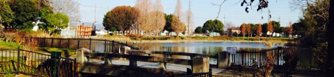 STARISH's header image