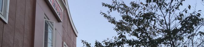 chisafu's header image