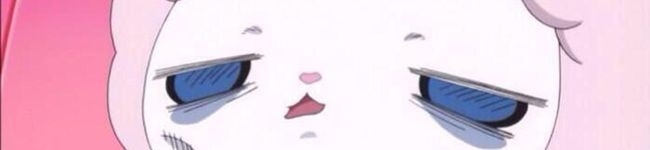 にくまるさん's header image