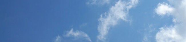 shada's header image