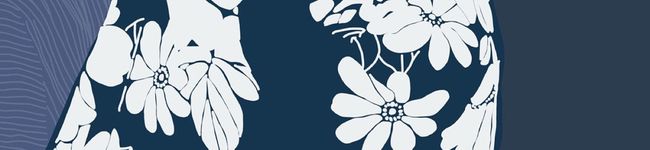 nanteco's header image