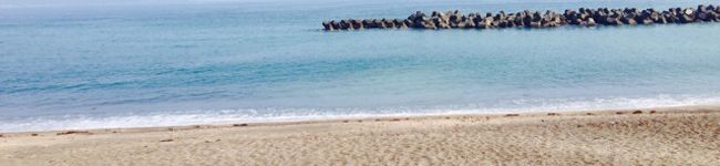 POOAYA's header image