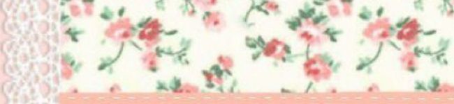 chopin☆'s header image