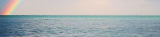 pull773's header image