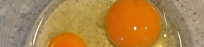 R．Fujii's header image