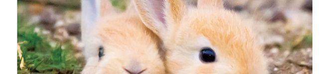 もーびぃ's header image
