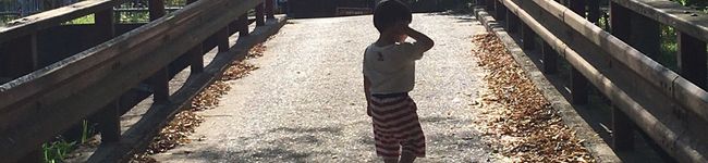 miesorakai's header image