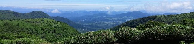 梨の華's header image