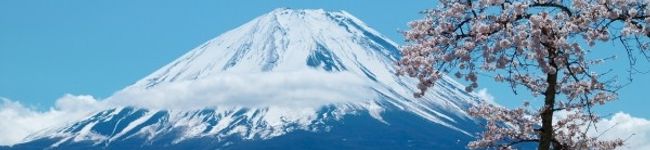はらへり侍's header image