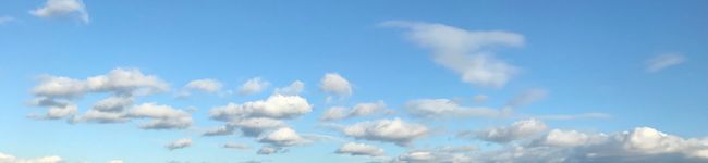 のぞみの居酒屋's header image