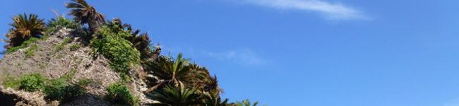 大板屋名月's header image