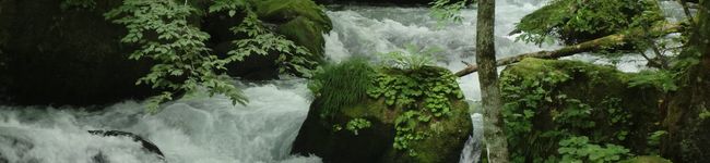 まいごまいまい's header image