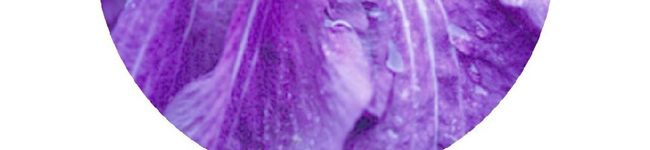 17Voyager's header image