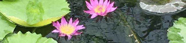 ♡しのちゃんママ♡'s header image