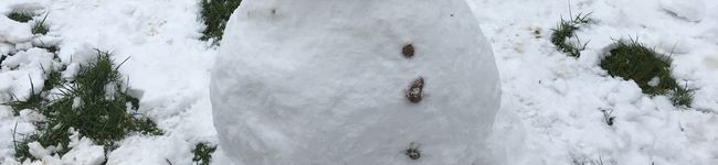 アボット's header image