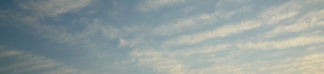 mint72's header image