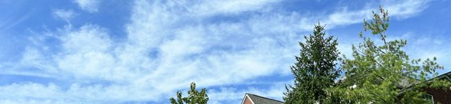 Msmare's header image