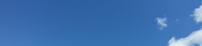 Kiki＆Co's header image