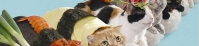 momo01110's header image