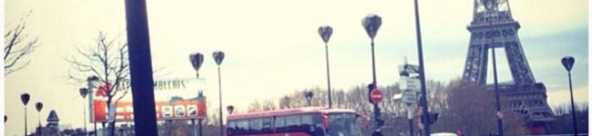 ゆた＊＊'s header image