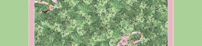 おしんこたまこ's header image