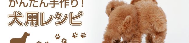 チョッパー512's header image