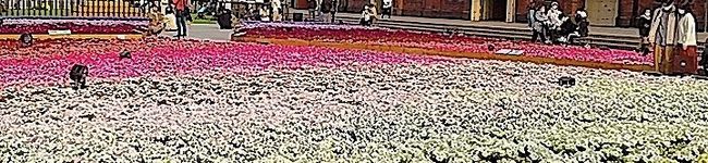 tama_pad's header image