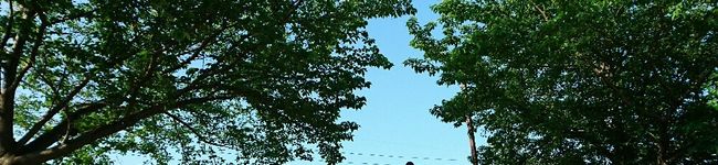 rie0x0's header image