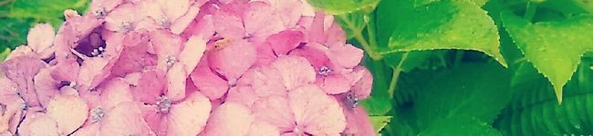 ☆すまゆりも☆'s header image