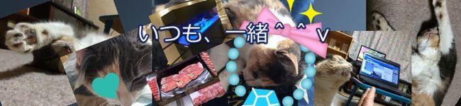 かめやす777's header image