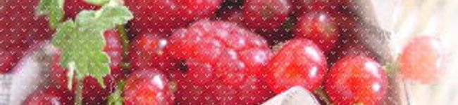 caramelparfait's header image