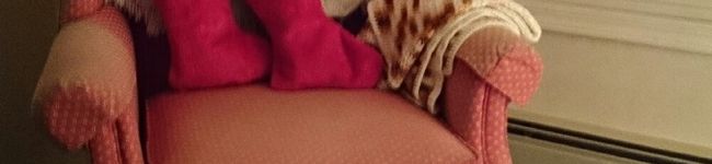 nummy's header image