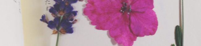 ちっちぽ's header image