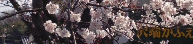 柚loveママ's header image