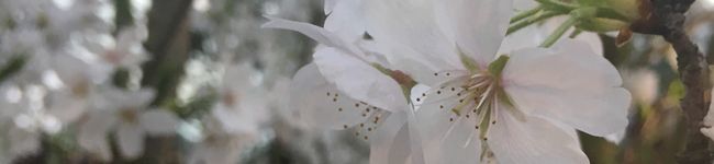 まるさん88's header image