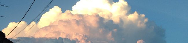 Ciel1124's header image