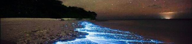 nao_i's header image