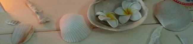 クリ大好き's header image