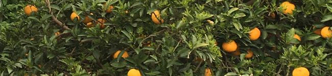 NaMYのお台所's header image