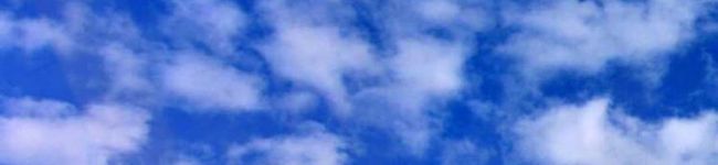 ・GON・'s header image