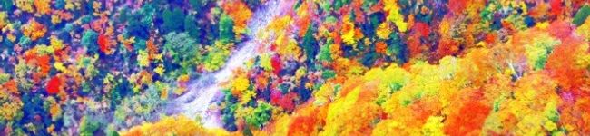 ルナＰボール's header image