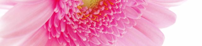 *Makiko*'s header image