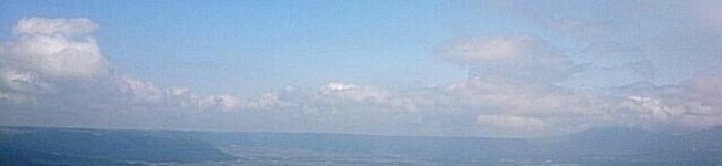＊mi_yu＊'s header image