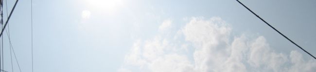 ぶたまんじゅう's header image