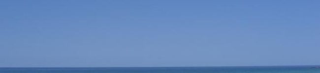 りねりね's header image
