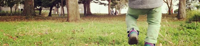 コタ作's header image