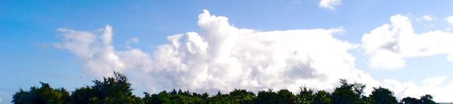 もみじ社長's header image
