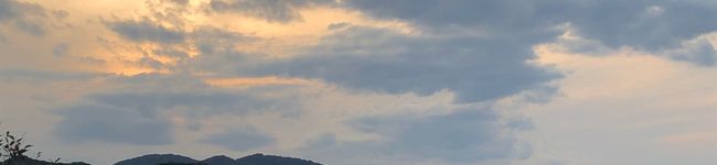 Sayasaia's header image