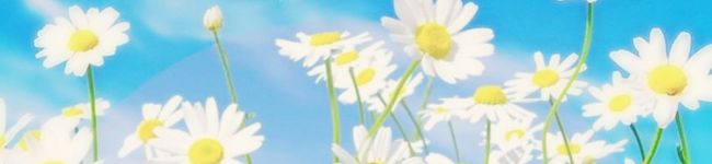 はなとさわ's header image